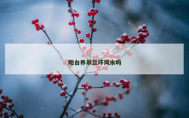 阳台养吊兰坏风水吗