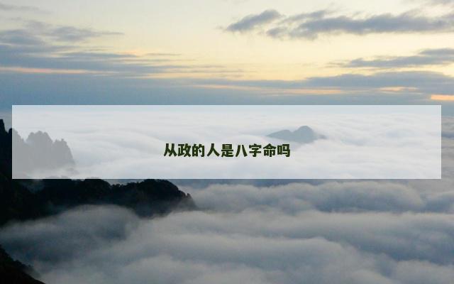 从政的人是八字命吗