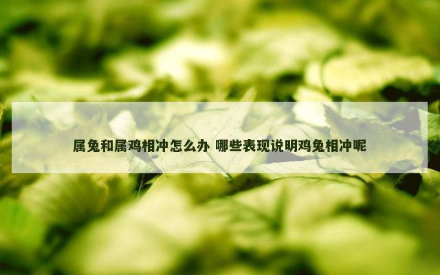 属兔和属鸡相冲怎么办 哪些表现说明鸡兔相冲呢