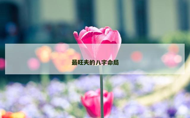 最旺夫的八字命局