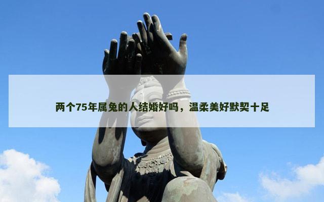 两个75年属兔的人结婚好吗，温柔美好默契十足