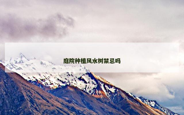 庭院种植风水树禁忌吗