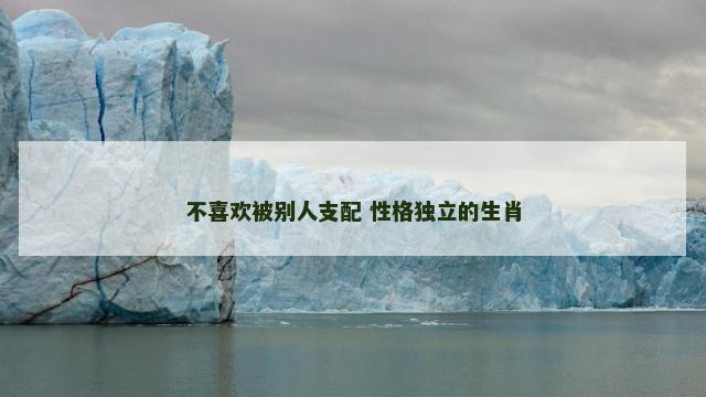 不喜欢被别人支配 性格独立的生肖