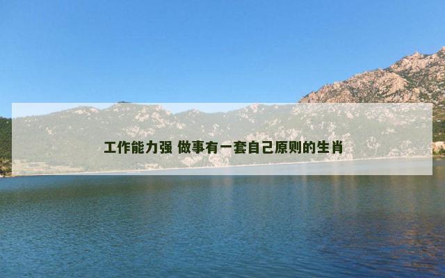 工作能力强 做事有一套自己原则的生肖