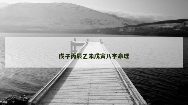 戊子丙辰乙未戊寅八字命理