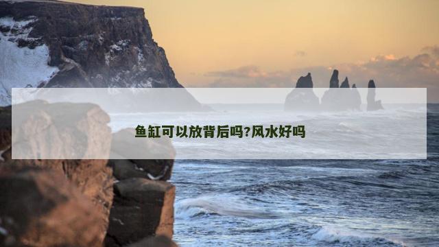 鱼缸可以放背后吗?风水好吗