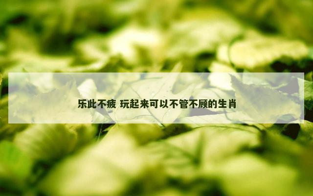 乐此不疲 玩起来可以不管不顾的生肖