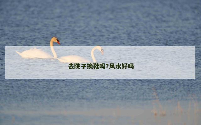 去院子换鞋吗?风水好吗