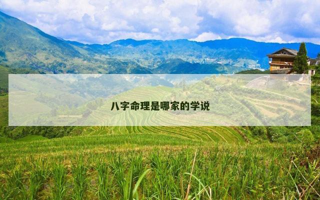 八字命理是哪家的学说