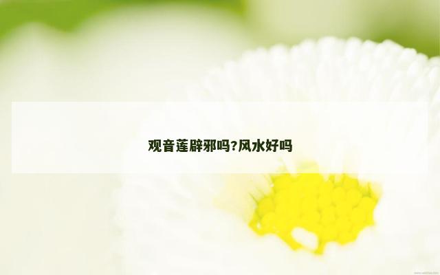 观音莲辟邪吗?风水好吗