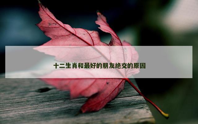 十二生肖和最好的朋友绝交的原因
