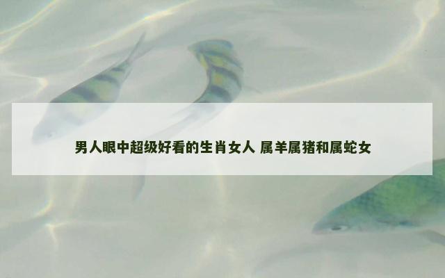 男人眼中超级好看的生肖女人 属羊属猪和属蛇女