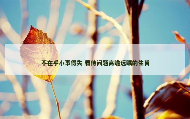 不在乎小事得失 看待问题高瞻远瞩的生肖