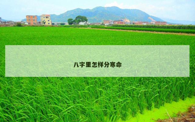 八字里怎样分寒命
