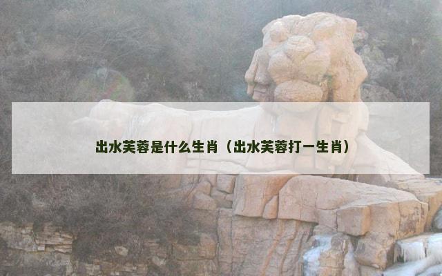 出水芙蓉是什么生肖（出水芙蓉打一生肖）