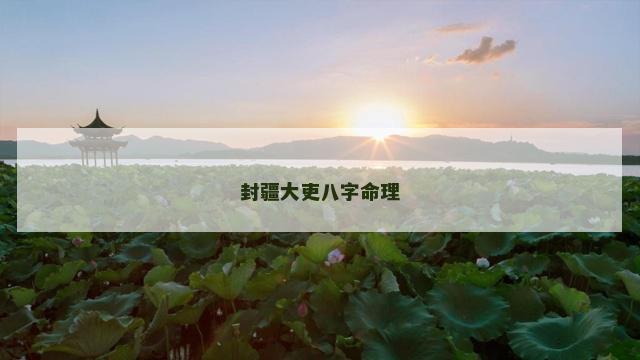 封疆大吏八字命理