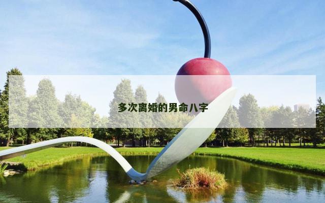 多次离婚的男命八字