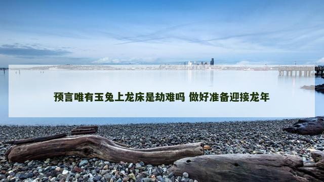 预言唯有玉兔上龙床是劫难吗 做好准备迎接龙年
