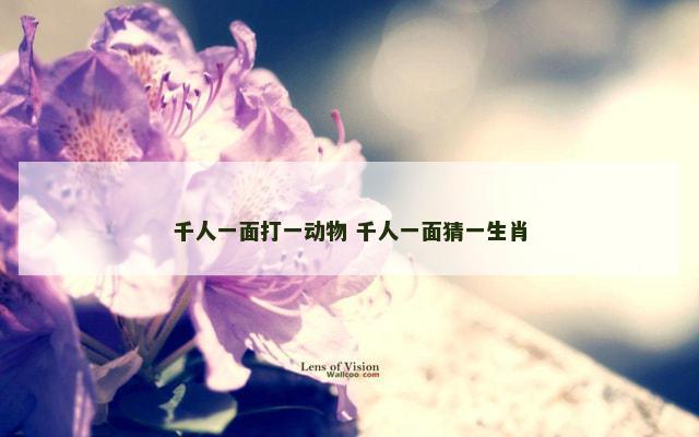 千人一面打一动物 千人一面猜一生肖