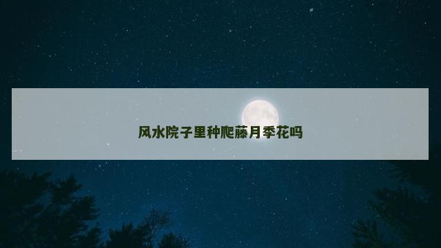 风水院子里种爬藤月季花吗