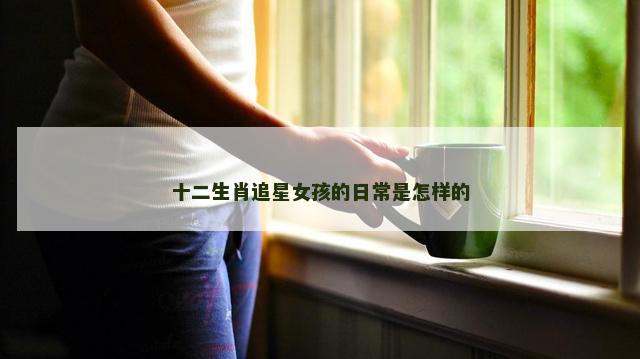 十二生肖追星女孩的日常是怎样的