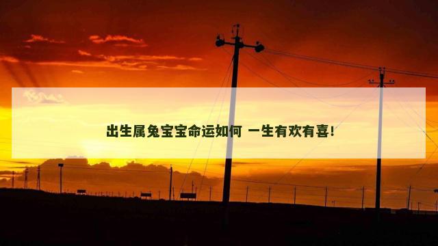 出生属兔宝宝命运如何 一生有欢有喜！