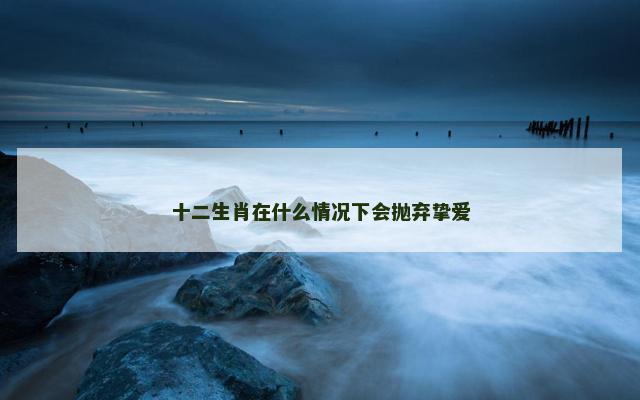 十二生肖在什么情况下会抛弃挚爱