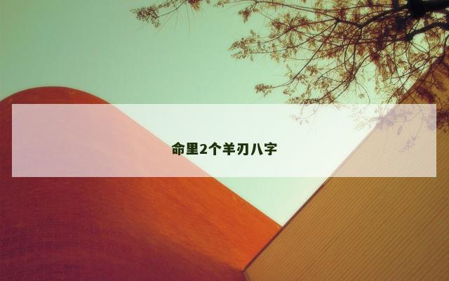 命里2个羊刃八字