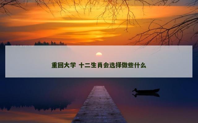 重回大学 十二生肖会选择做些什么