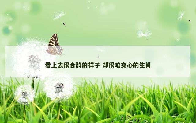 看上去很合群的样子 却很难交心的生肖