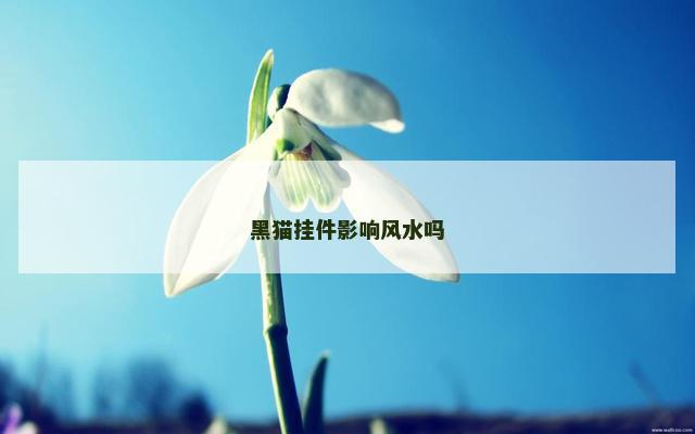 黑猫挂件影响风水吗