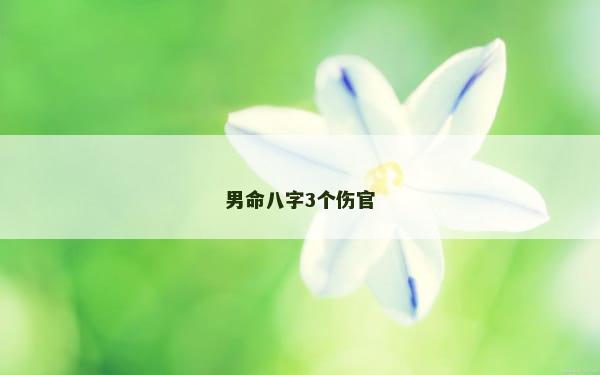 男命八字3个伤官