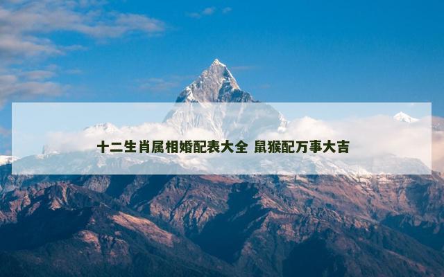 十二生肖属相婚配表大全 鼠猴配万事大吉