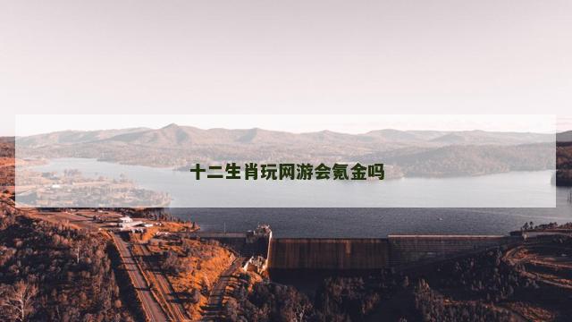 十二生肖玩网游会氪金吗