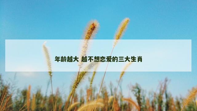 年龄越大 越不想恋爱的三大生肖