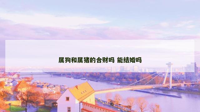 属狗和属猪的合财吗 能结婚吗