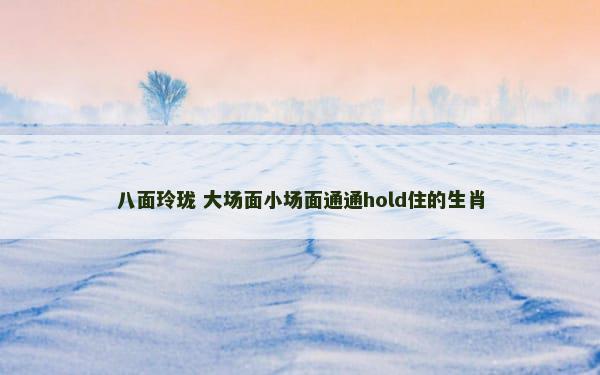 八面玲珑 大场面小场面通通hold住的生肖