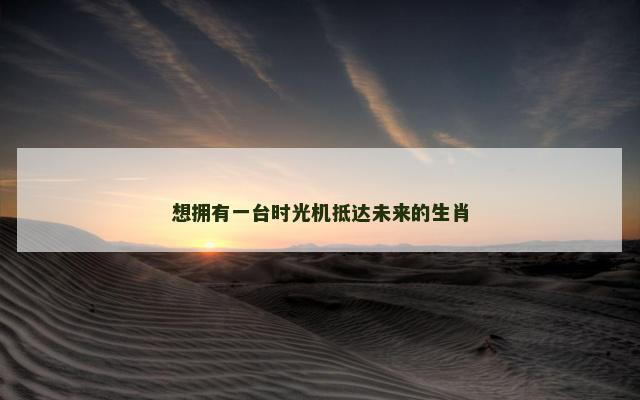 想拥有一台时光机抵达未来的生肖