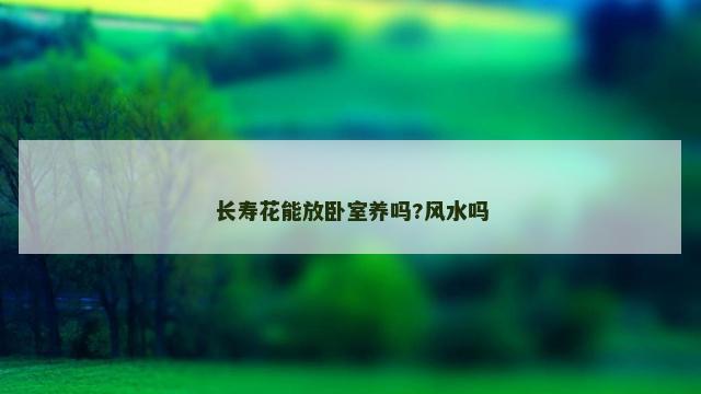 长寿花能放卧室养吗?风水吗