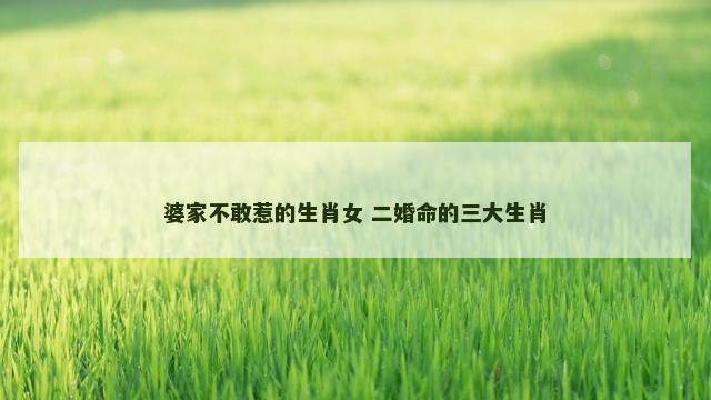 婆家不敢惹的生肖女 二婚命的三大生肖