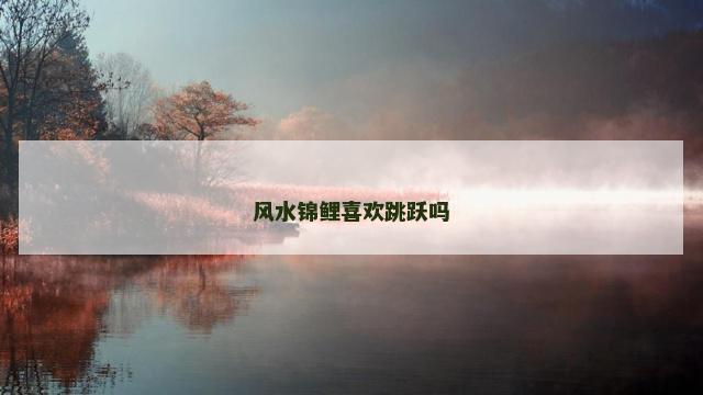 风水锦鲤喜欢跳跃吗