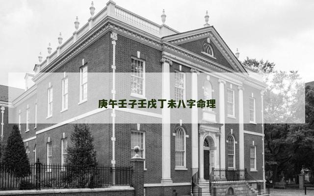 庚午壬子壬戌丁未八字命理