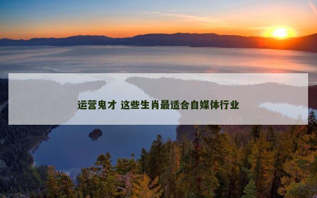 运营鬼才 这些生肖最适合自媒体行业