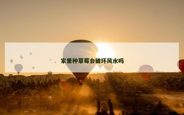 家里种草莓会破坏风水吗