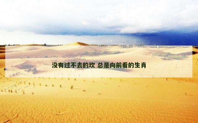 没有过不去的坎 总是向前看的生肖