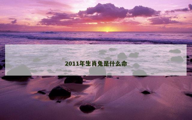 2011年生肖兔是什么命