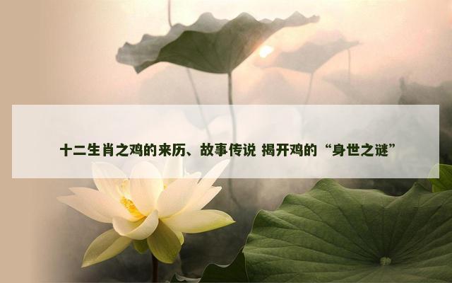 十二生肖之鸡的来历、故事传说 揭开鸡的“身世之谜”