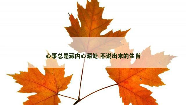 心事总是藏内心深处 不说出来的生肖