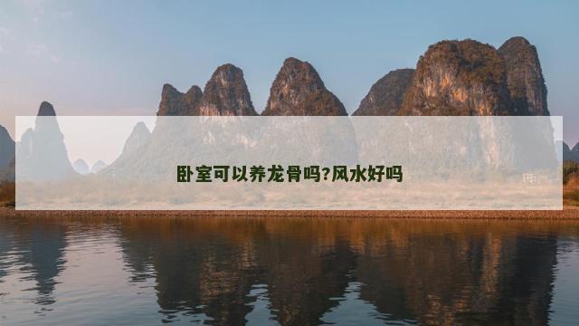 卧室可以养龙骨吗?风水好吗
