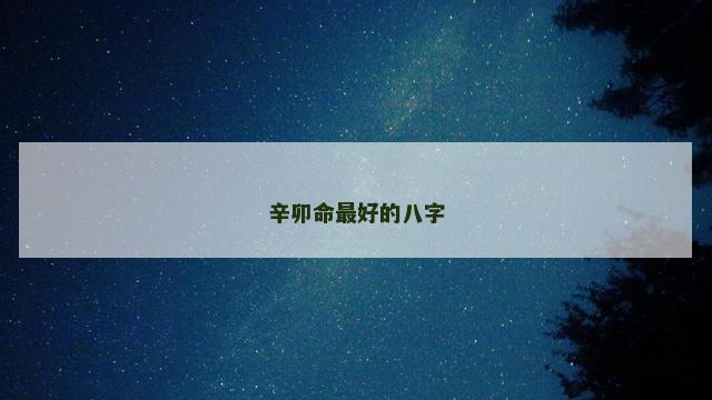 辛卯命最好的八字